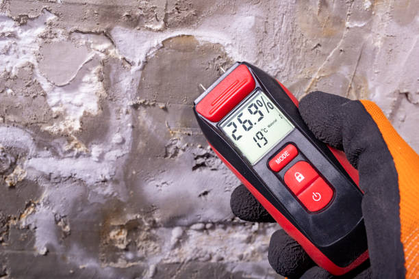 Best Crawl Space Mold Remediation in El Cerro Mission, NM