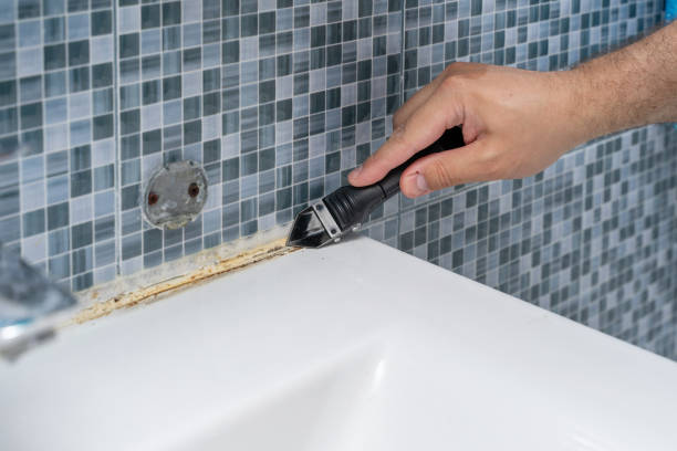 Best Black Mold Remediation in El Cerro Mission, NM